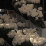 دانلود آهنگ فاطمه عطایی نزن از خنه بیرون نشو سمت بلیرون